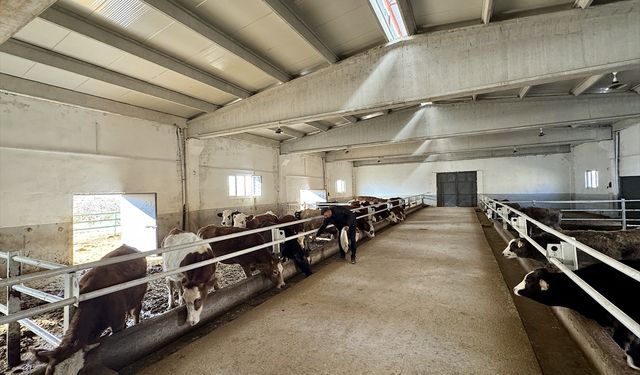 Baba mesleği besiciliği devlet desteğiyle modern tesise taşıdı