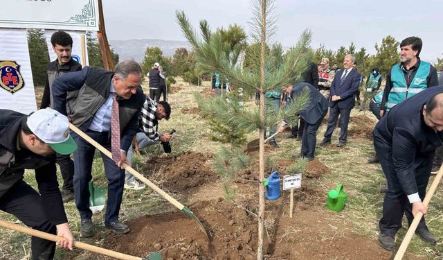 Bingöl’de 25 bin fidan toprakla buluştu