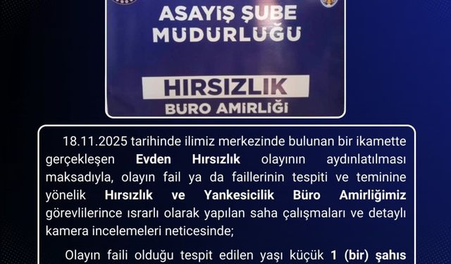 Bingöl’de hırsızlık olayının faili tutuklandı