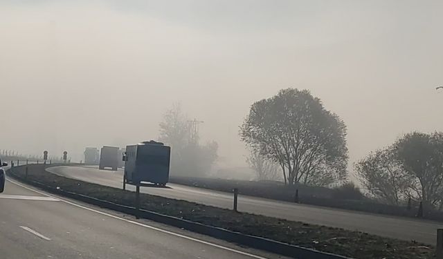 Bingöl’de sis etkili oldu