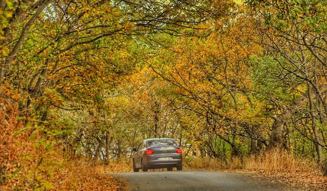 Bitlis'te Hizan ormanları hazan renklerine büründü