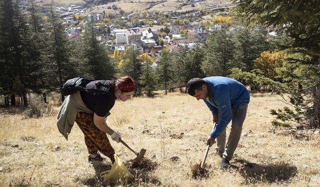 Doğa tutkunları, Tunceli'nin kıraç topraklarını meşe palamuduyla buluşturuyor