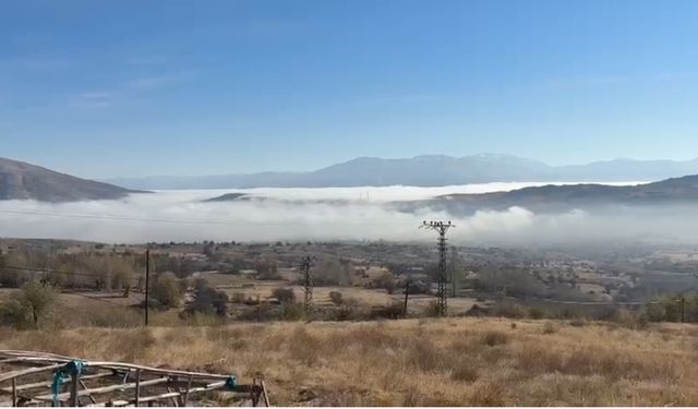 Doğanşehir'de sis etkili oldu