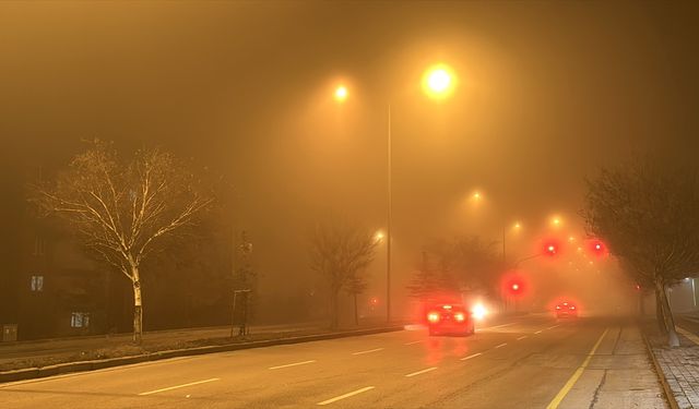 Erzurum'da yoğun sis etkili oluyor