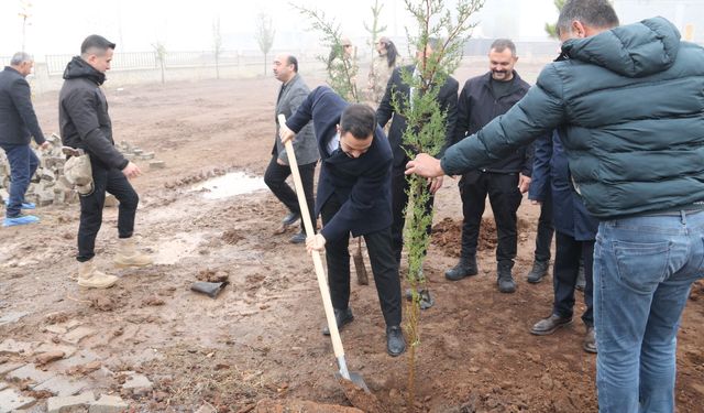 Güroymak'ta fidan dikim etkinliği düzenlendi