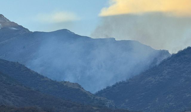 Hakkari'de ağaçlık alanda çıkan yangın kontrol altına alındı