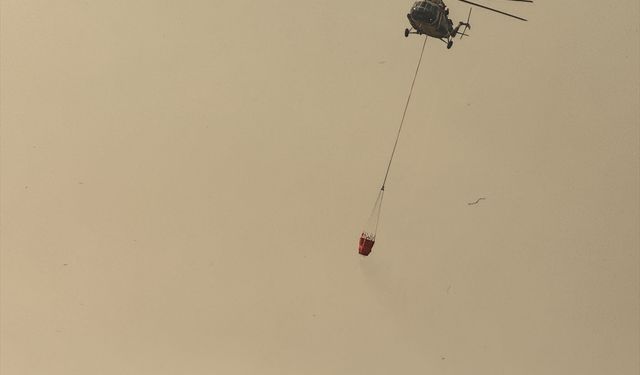 Hakkari'de Nehil Sazlığı'ndaki yangına havadan müdahale ediliyor