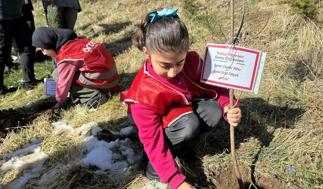 Hakkari'de Türkiye ve Gazze'deki şehitler anısına fidan dikildi