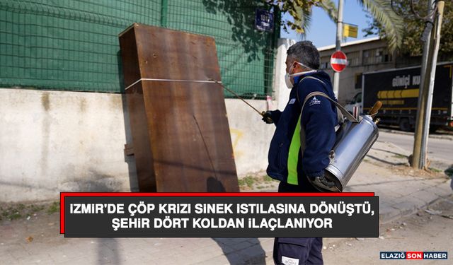 İzmir'de Çöp Krizi Sinek İstilasına Dönüştü, Şehir Dört Koldan İlaçlanıyor