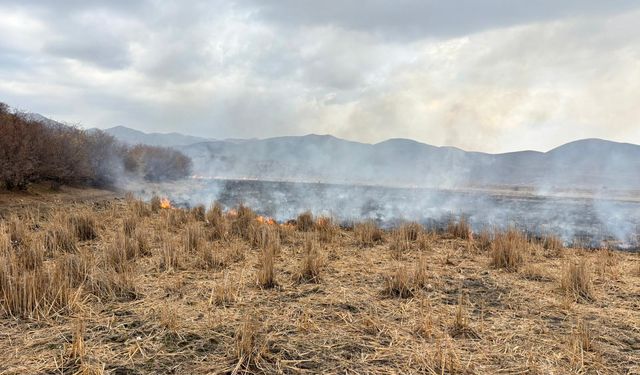 Karlıova'da meydana gelen anız yangını söndürüldü