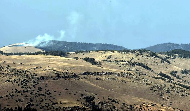 Kars'ta ormanda çıkan örtü yangınında yaklaşık 1,5 hektar alan zarar gördü