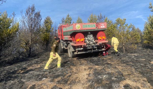 Kars'ta ormanda çıkan örtü yangınında yaklaşık 3 hektar alan zarar gördü