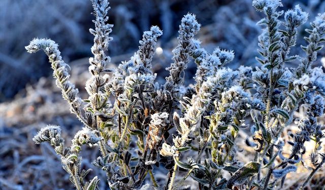Kars'ta soğuk hava etkisini sürdürüyor
