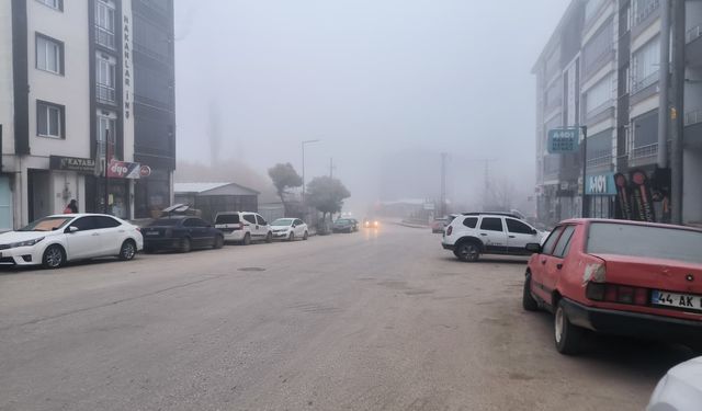 Malatya'da sis etkili oldu