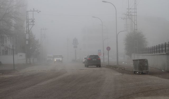 Malazgirt'te sis etkili oldu