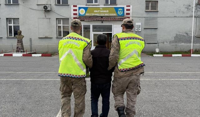 Muş'ta kesinleşmiş hapis cezası bulunan hükümlü yakalandı