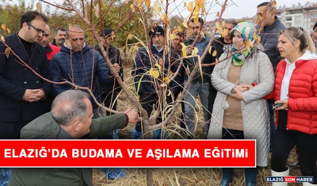 Elazığ’da Budama ve Aşılama Eğitimi