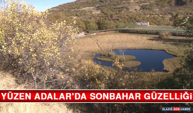 Yüzen Adalar'da Sonbahar Güzelliği