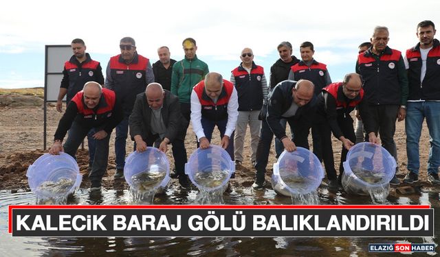 Kalecik Baraj Gölü Balıklandırıldı