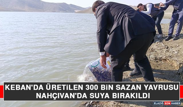 Keban'da Üretilen 300 Bin Sazan Yavrusu Nahçıvan'da Suya Bırakıldı