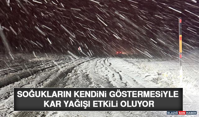 Soğukların Kendini Göstermesiyle Kar Yağışı Etkili Oluyor