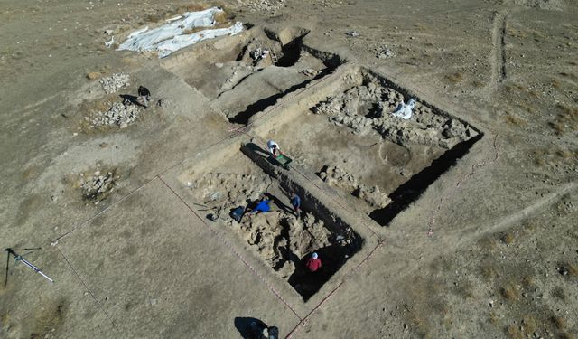 Van'daki kazılarda 5 bin yıllık olduğu değerlendirilen karbonlaşmış arpa taneleri bulundu