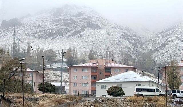 Van'ın ilçelerindeki yüksek kesimlere kar yağdı