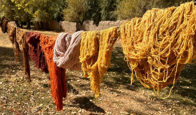 Vanlı kadınlar, iplere doğada topladıkları bitkilerle renk veriyor