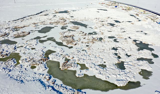 Afrika'dan Rusya'ya göç eden kuşları ağırlayan Çalı Gölü dondu