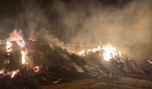 Ardahan'da ambarda çıkan yangında 1 traktör ile 2 bin ot balyası yandı