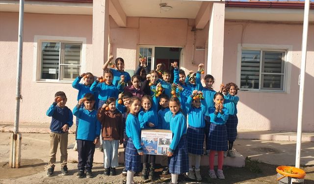 Aydın'daki ilkokul öğrencilerinden Erzurum'daki görme engelli öğrencilere mandalina