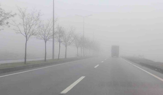 Bingöl’de yoğun sis etkili oldu