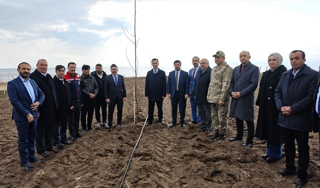 Bitlis'te çiftçilere 12 bin sertifikalı ceviz fidanı dağıtımına başlandı