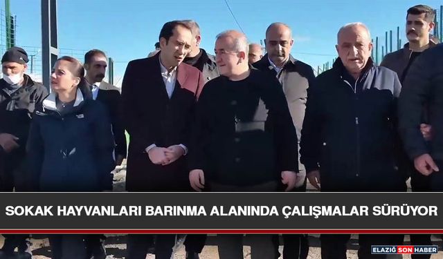 Sokak Hayvanları Barınma Alanında Çalışmalar Sürüyor