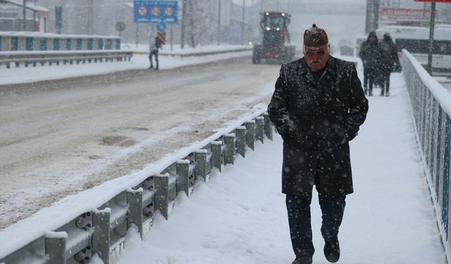 Doğu Anadolu'daki 5 ilde kar ve soğuk hava etkili oluyor
