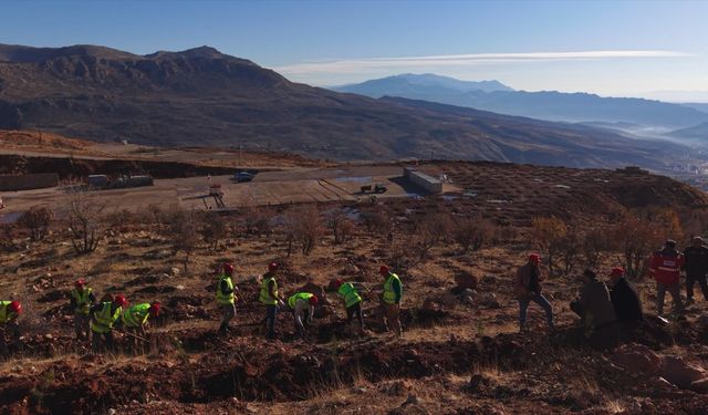 Enerji ve Tabii Kaynaklar Bakanlığı, Şırnak Gabar'da fidan dikim seferberliği başlattı
