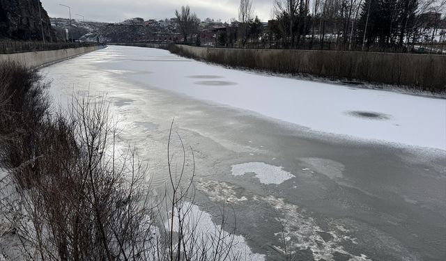 Erzurum, Ardahan ve Kars'ta soğuk hava dondurdu