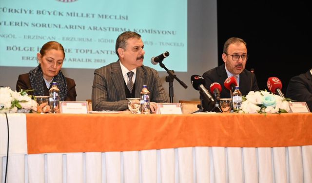 Erzurum'da TBMM Engelli Bireylerin Sorunlarını Araştırma Komisyonu, Bölge İstişare Toplantısı düzenledi