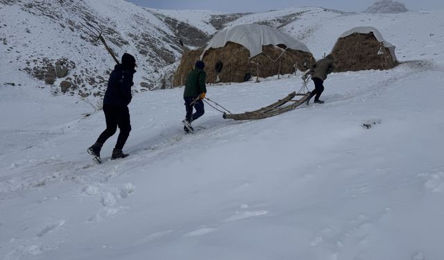 Hakkari'de besiciler hayvanları için kar ve soğukla mücadele ediyor