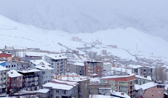 Hakkari'de kar ve soğuk hava etkisini sürdürüyor