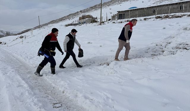 Hakkari'de veteriner hekimler hayvanların sağlığı için karlı yolları aşıyor