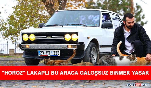 "Horoz" Lakaplı Bu Araca Galoşsuz Binmek Yasak