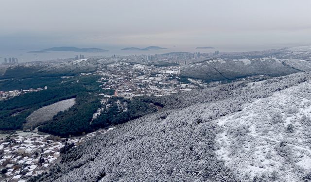 İstanbul'un Aydos Ormanı'ndaki kar havadan görüntülendi