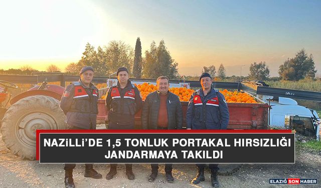 Nazilli’de 1,5 Tonluk Portakal Hırsızlığı Jandarmaya Takıldı