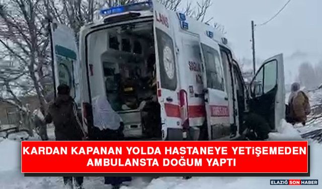 Kardan Kapanan Yolda Hastaneye Yetişemeden Ambulansta Doğum Yaptı
