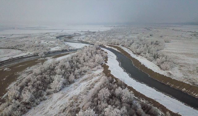 Kars, Ardahan ve Ağrı'da soğuk hava ile sis etkili oldu