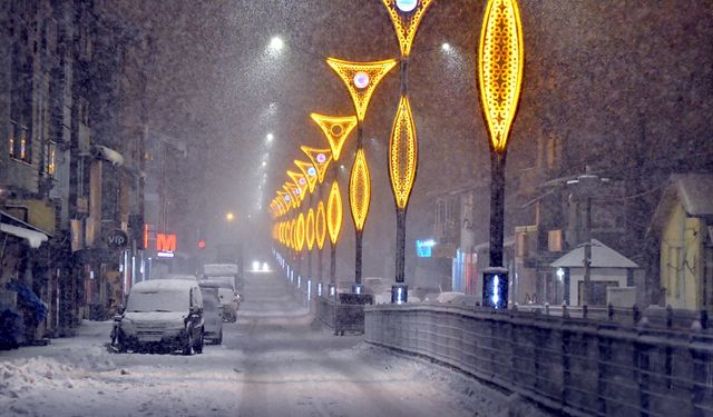 Kars'ta kar yağışı etkili oluyor