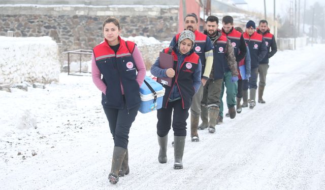Kars'ta veteriner hekimler, hayvanların sağlığı için çetin kış koşullarında sahada