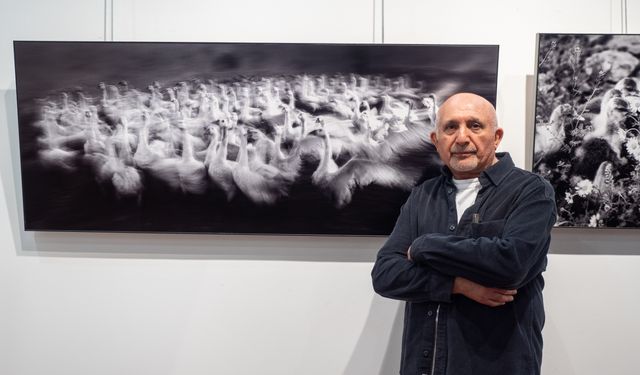 'Kazların Senfonisi' fotoğraf sergisi İzmir'de açıldı