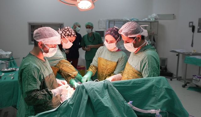 Malatya'da bir hastanın böbreğinden 2 kilo 200 gram tümör çıkarıldı